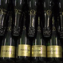 Champagne Paques Bottles in Cellar